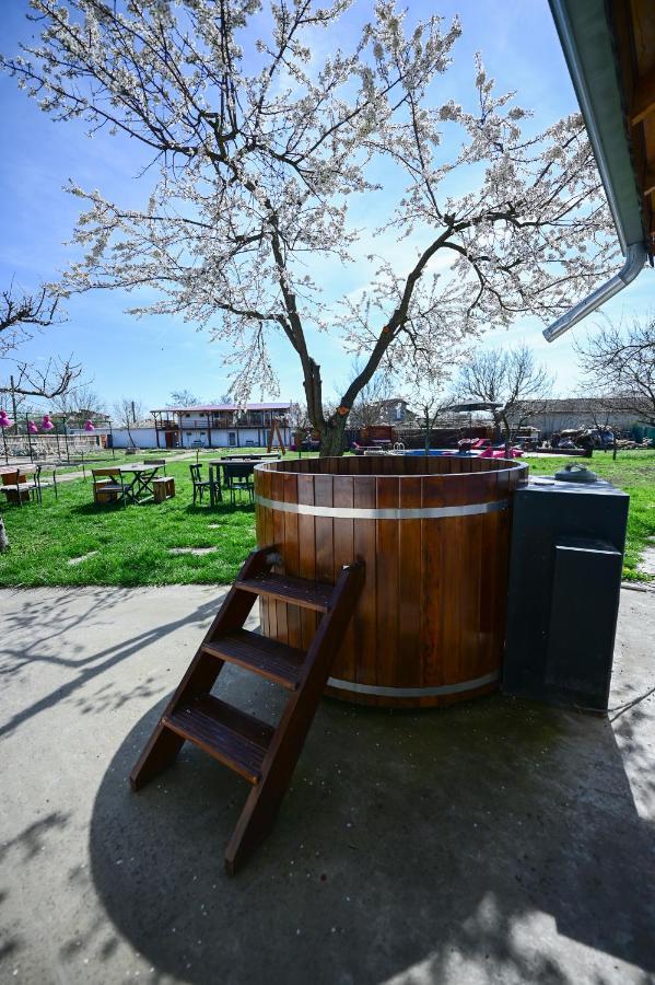Dibich Guest House Bulgarka מראה חיצוני תמונה